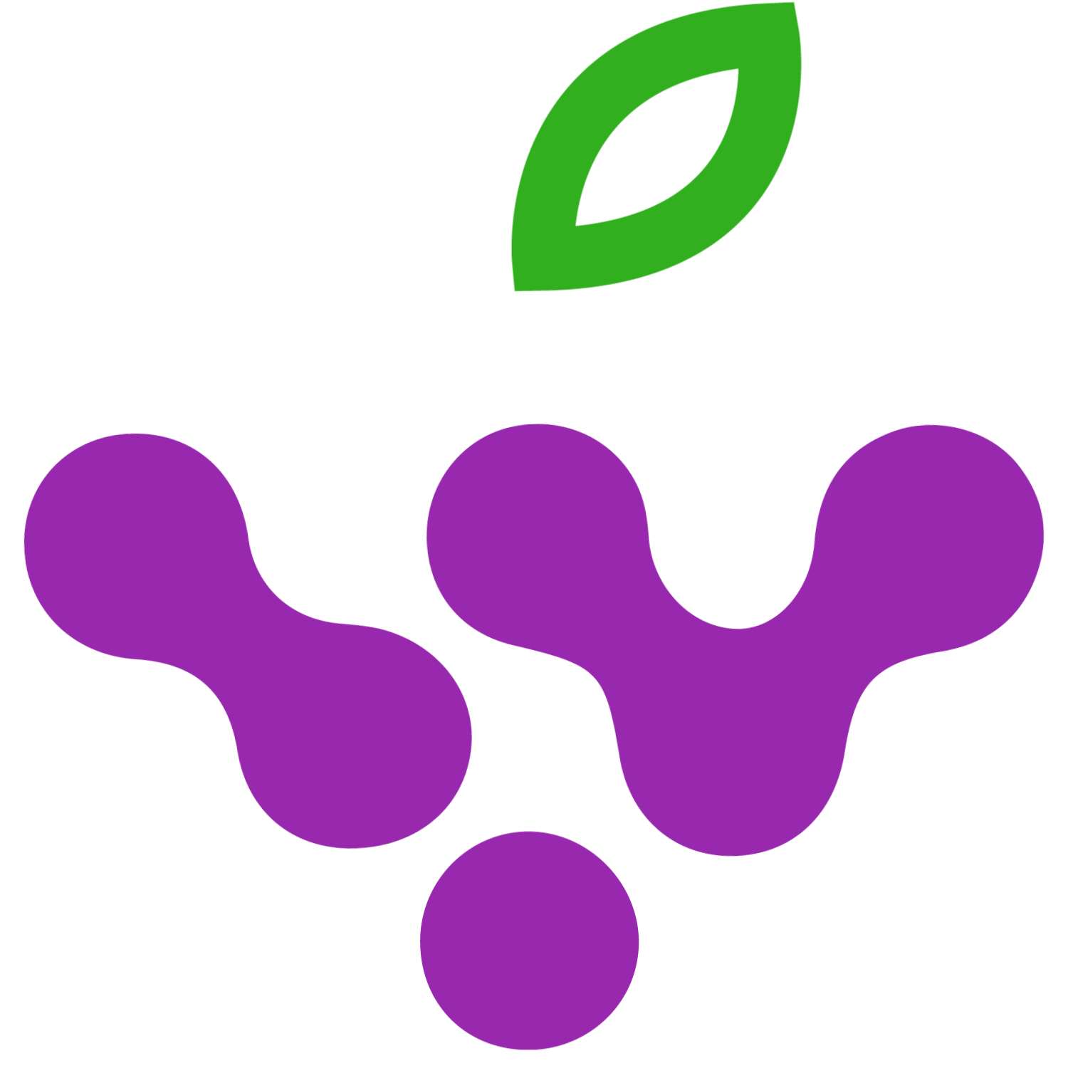 Nine Grapes logo
